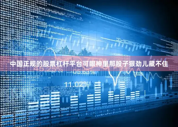 中国正规的股票杠杆平台可眼神里那股子狠劲儿藏不住